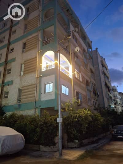 شقة 2 غرفة نوم للبيع في النخيل، الإسكندرية - 1000494377. jpg