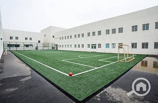 2 234501. jpg