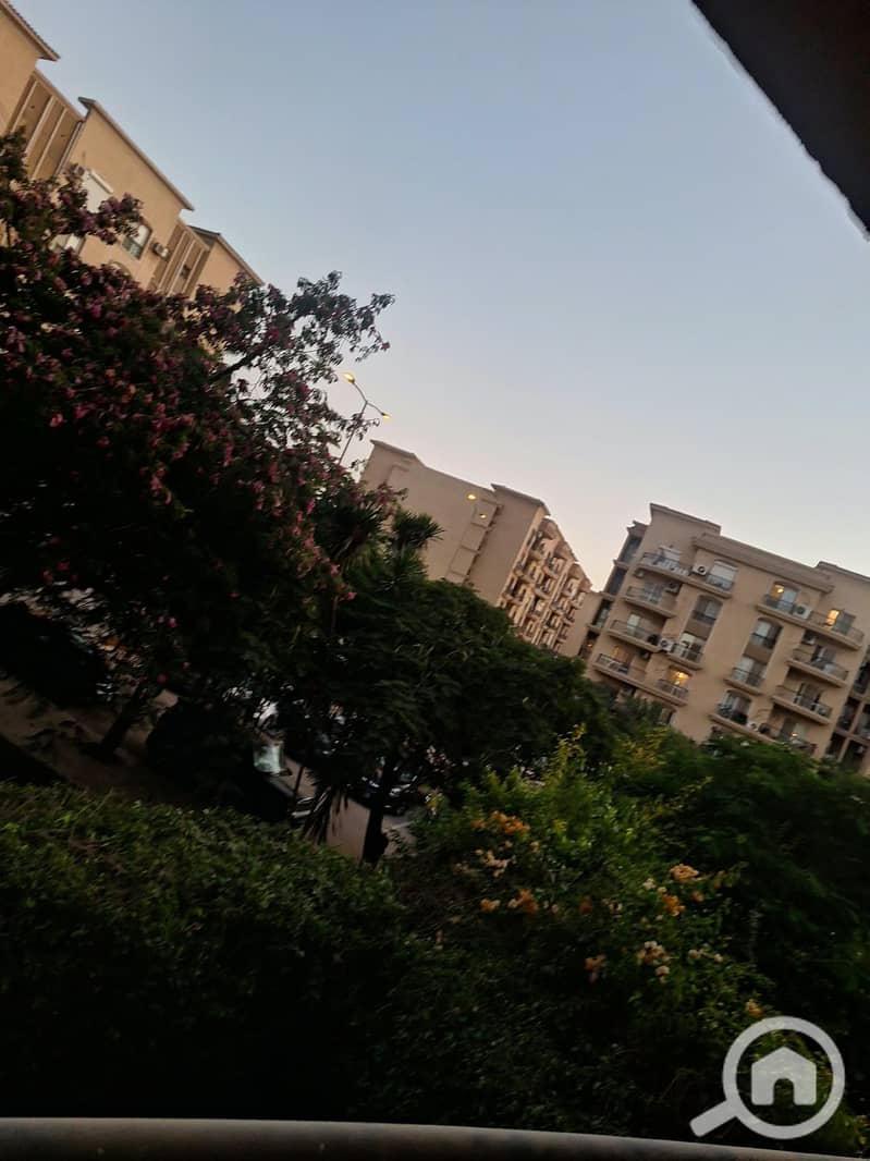 5 1003030822. jpg