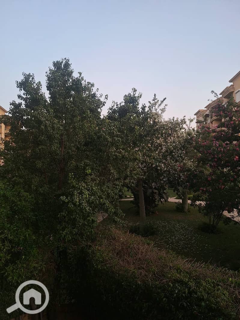 9 1003030829. jpg
