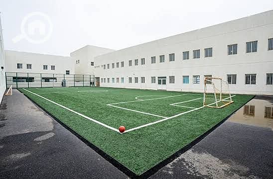 4 234501. jpg