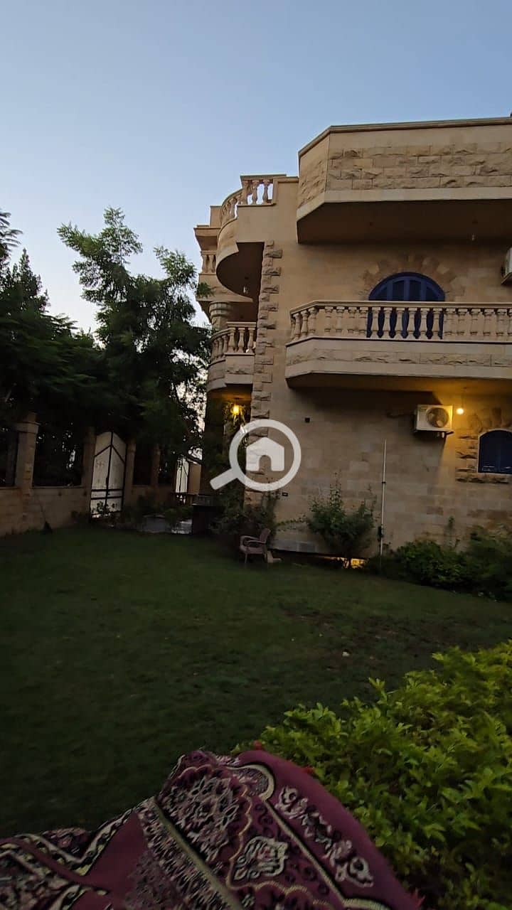 8 340183. jpg