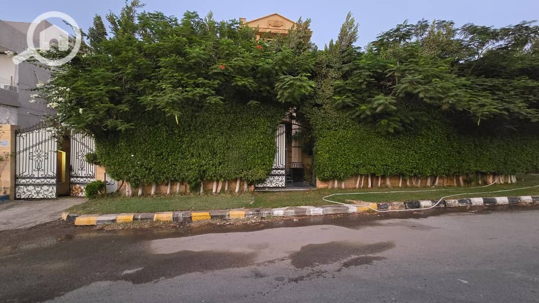 17 340169. jpg