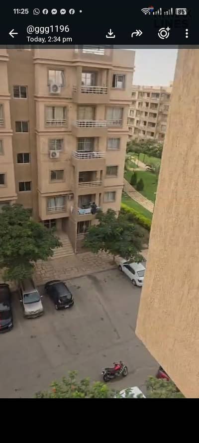 فلیٹ 2 غرفة نوم للايجار في مدينتي، القاهرة - 1000402659. jpg فلیٹ 2 غرفة نوم للايجار في مدينتي، القاهرة - 1000402659. jpg