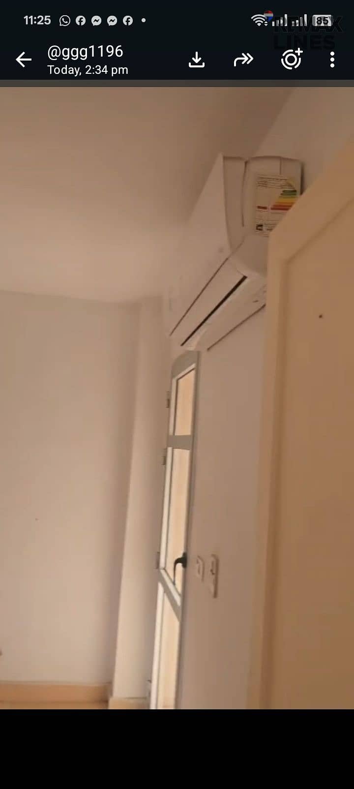 21 1000402655. jpg