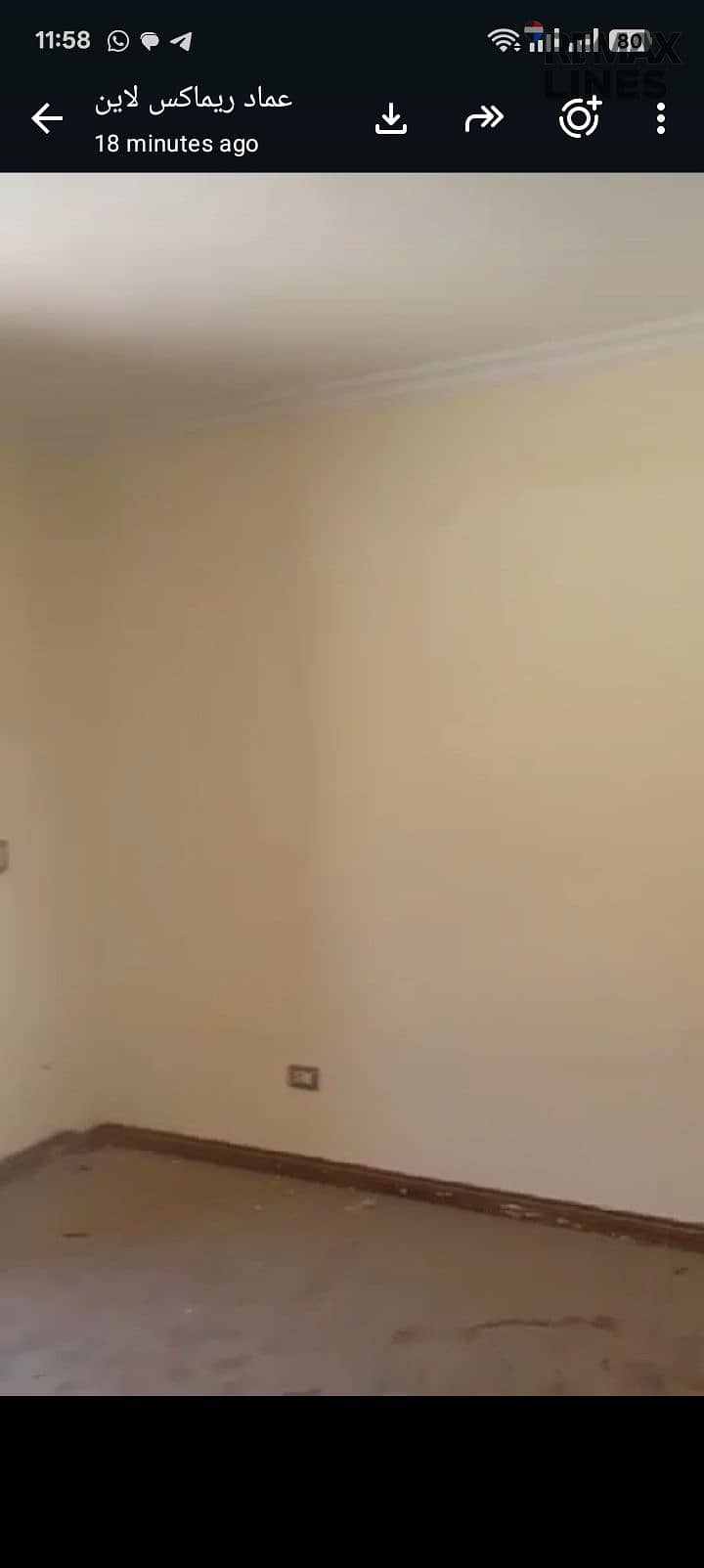 5 1000402833. jpg