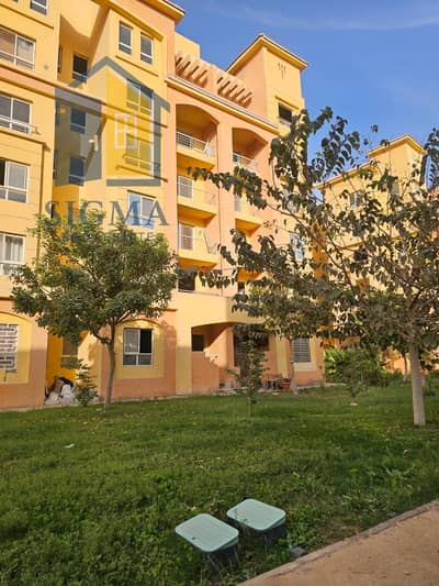 2 Bedroom Flat for Sale in 6th of October, Giza - 1000331299. jpg 2 Bedroom Flat for Sale in 6th of October, Giza - 1000331299. jpg