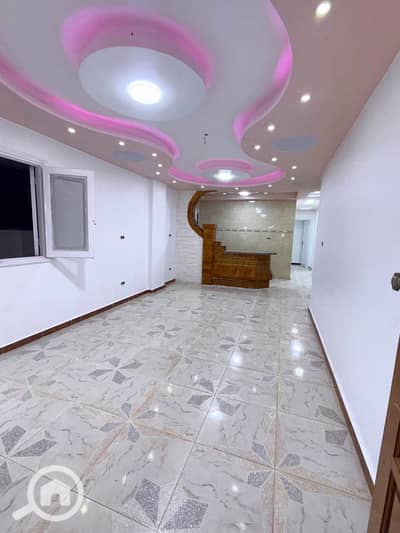 فلیٹ 2 غرفة نوم للبيع في النخيل، الإسكندرية - 1000519289. jpg
