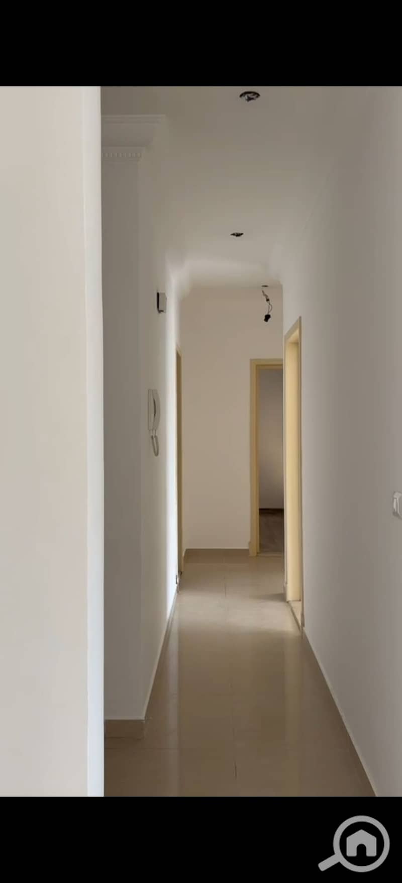3 618284. jpg