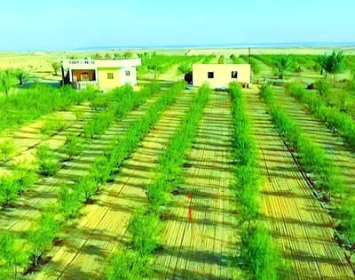 Other Commercial for Sale in 6th of October, Giza - مزرعه للبيع 10 فدان مسجله وبها جميع المرافق
