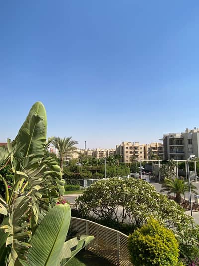 شقة 3 غرف نوم للايجار في الشيخ زايد، الجيزة - WhatsApp Image 2026-10-19 at 8.19. 14 PM. jpeg شقة 3 غرف نوم للايجار في الشيخ زايد، الجيزة - WhatsApp Image 2026-10-19 at 8.19. 14 PM. jpeg