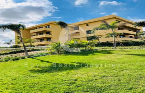 2 Bedroom Flat for Sale in 6th of October, Giza - WhatsApp Image 2026-09-27 at 3.39. 38 PM. jpeg 2 Bedroom Flat for Sale in 6th of October, Giza - WhatsApp Image 2026-09-27 at 3.39. 38 PM. jpeg