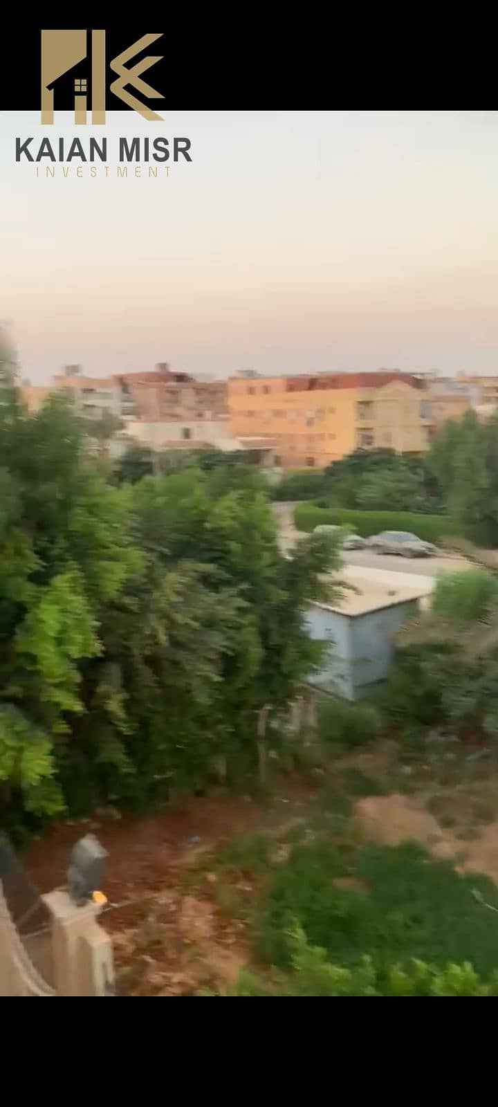 4 1000026082. jpg