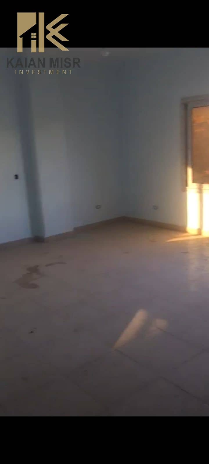 11 1000026091. jpg