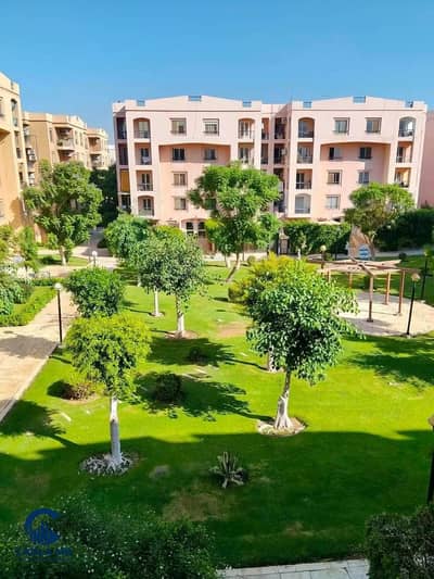 شقة 3 غرف نوم للايجار في القاهرة الجديدة، القاهرة - 3ca4ee34-e62a-434e-9f3a-62bcf6f5c0b2. jpg شقة 3 غرف نوم للايجار في القاهرة الجديدة، القاهرة - 3ca4ee34-e62a-434e-9f3a-62bcf6f5c0b2. jpg