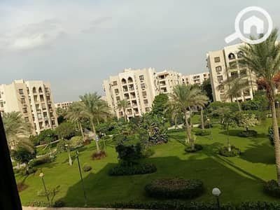 3 Bedroom Flat for Rent in New Cairo, Cairo - 18112. jpg 3 Bedroom Flat for Rent in New Cairo, Cairo - 18112. jpg
