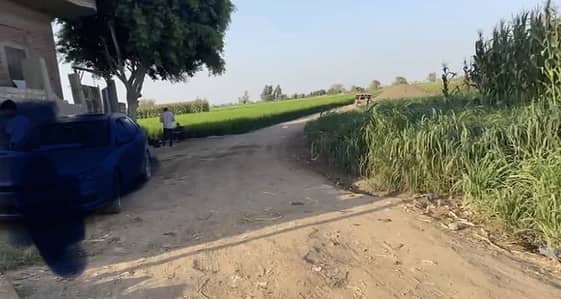 أرض زراعية  للبيع في الزقازيق، الشرقية - ارض للبيع انشاص البصل بالزقازيق