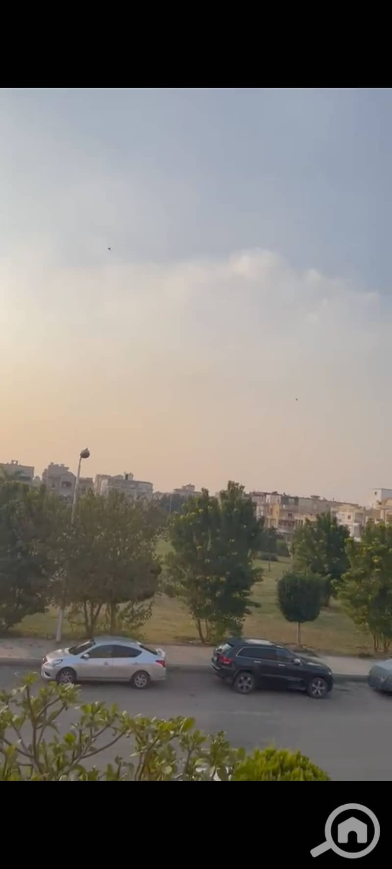 7 546097. jpg