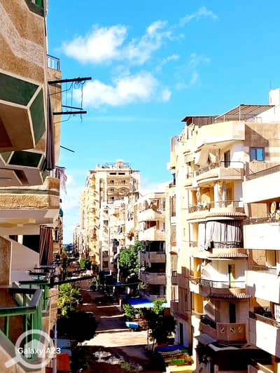 فلیٹ 2 غرفة نوم للبيع في النخيل، الإسكندرية - 1000536261. heic فلیٹ 2 غرفة نوم للبيع في النخيل، الإسكندرية - 1000536261. heic