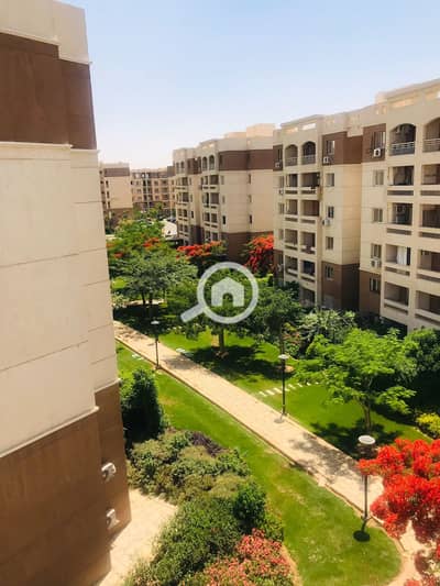 3 Bedroom Flat for Sale in Madinaty, Cairo - 51784f1c-260d-487e-8436-98cdbc4a84a2. jpg 3 Bedroom Flat for Sale in Madinaty, Cairo - 51784f1c-260d-487e-8436-98cdbc4a84a2. jpg