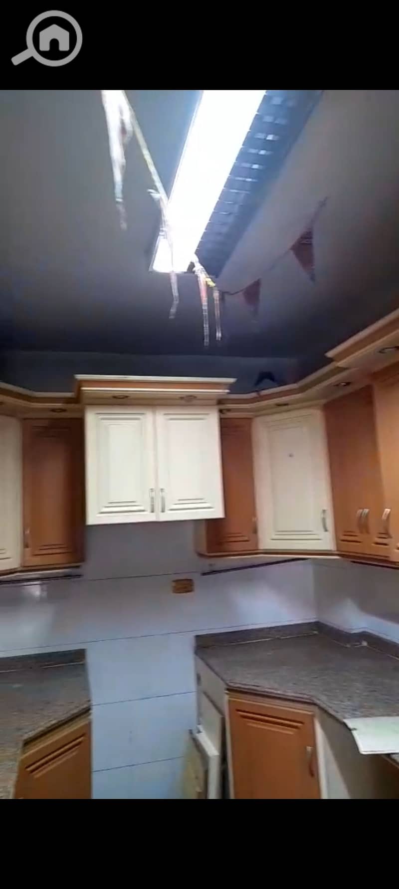 2 1000396149. jpg