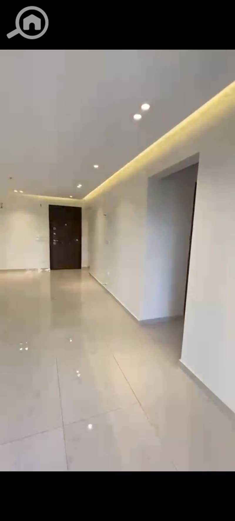 7 546409. jpg