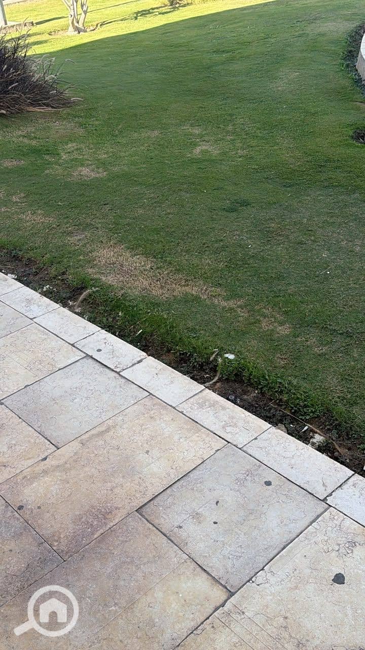 11 WhatsApp Image 2026-10-20 at 3.02. 22 PM. jpeg