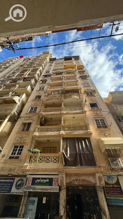 فلیٹ 3 غرف نوم للبيع في الابراهيمية، الإسكندرية - WhatsApp Image 2026-10-20 at 16.58. 03. jpeg فلیٹ 3 غرف نوم للبيع في الابراهيمية، الإسكندرية - WhatsApp Image 2026-10-20 at 16.58. 03. jpeg