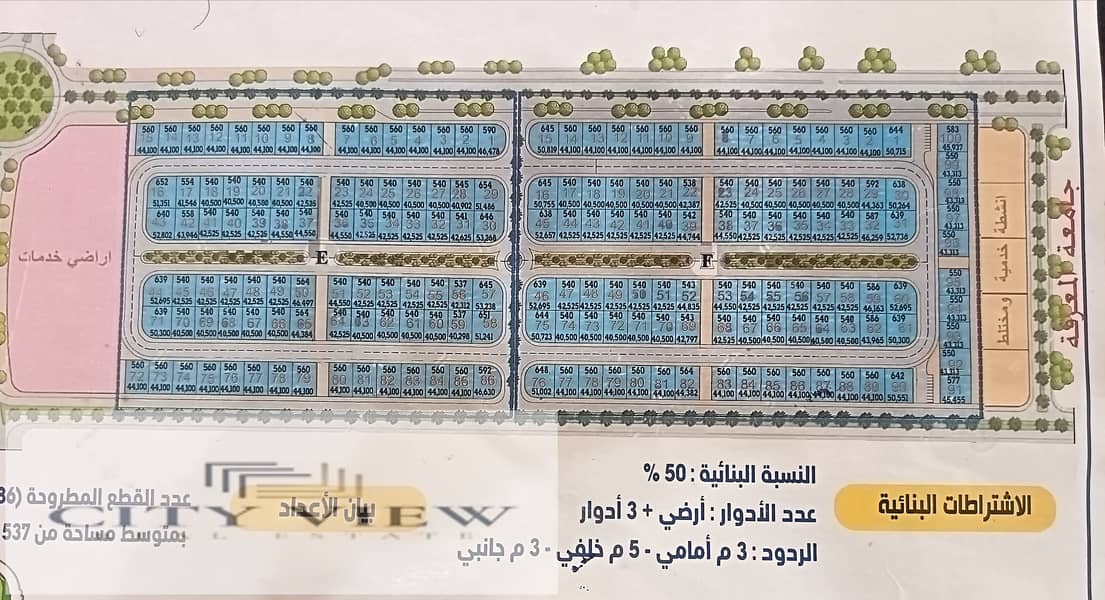 9 402385. jpg