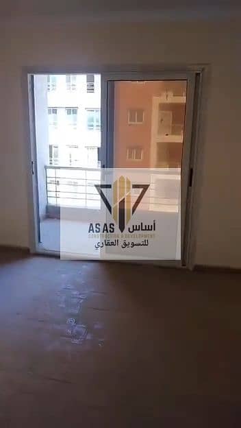 2 79372. jpg