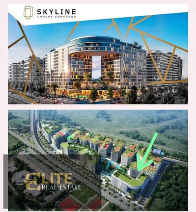3 Bedroom Flat for Sale in Smoha, Alexandria - WhatsApp Image 2026-10-20 at 6.47. 23 PM. jpeg 3 Bedroom Flat for Sale in Smoha, Alexandria - WhatsApp Image 2026-10-20 at 6.47. 23 PM. jpeg