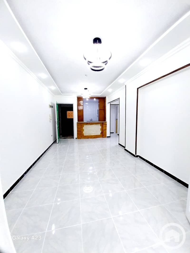 1000536434. heic 1000536434. heic