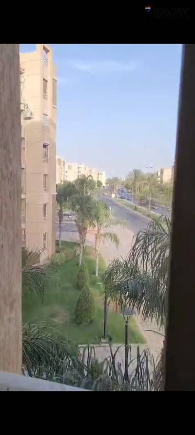 فلیٹ 2 غرفة نوم للايجار في مدينتي، القاهرة - 1000403858. jpg فلیٹ 2 غرفة نوم للايجار في مدينتي، القاهرة - 1000403858. jpg