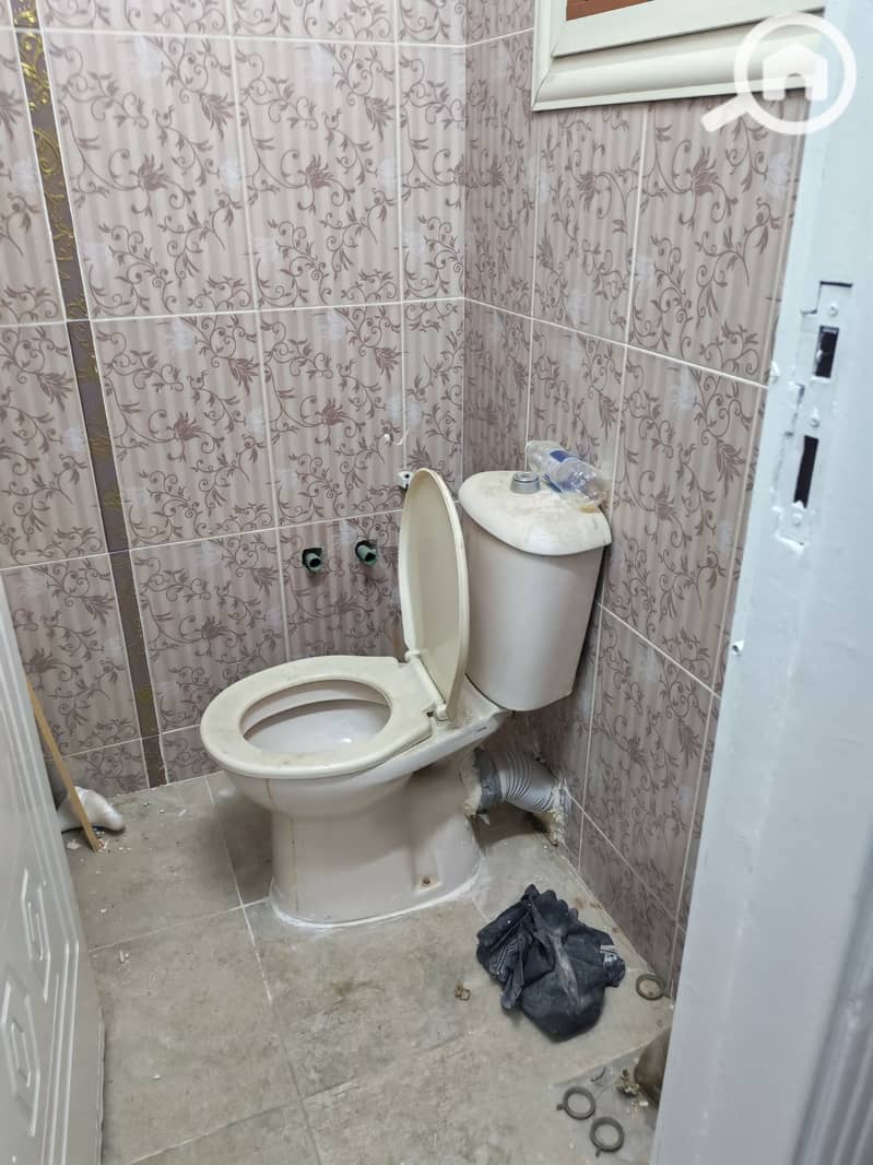 7 1016416. jpg