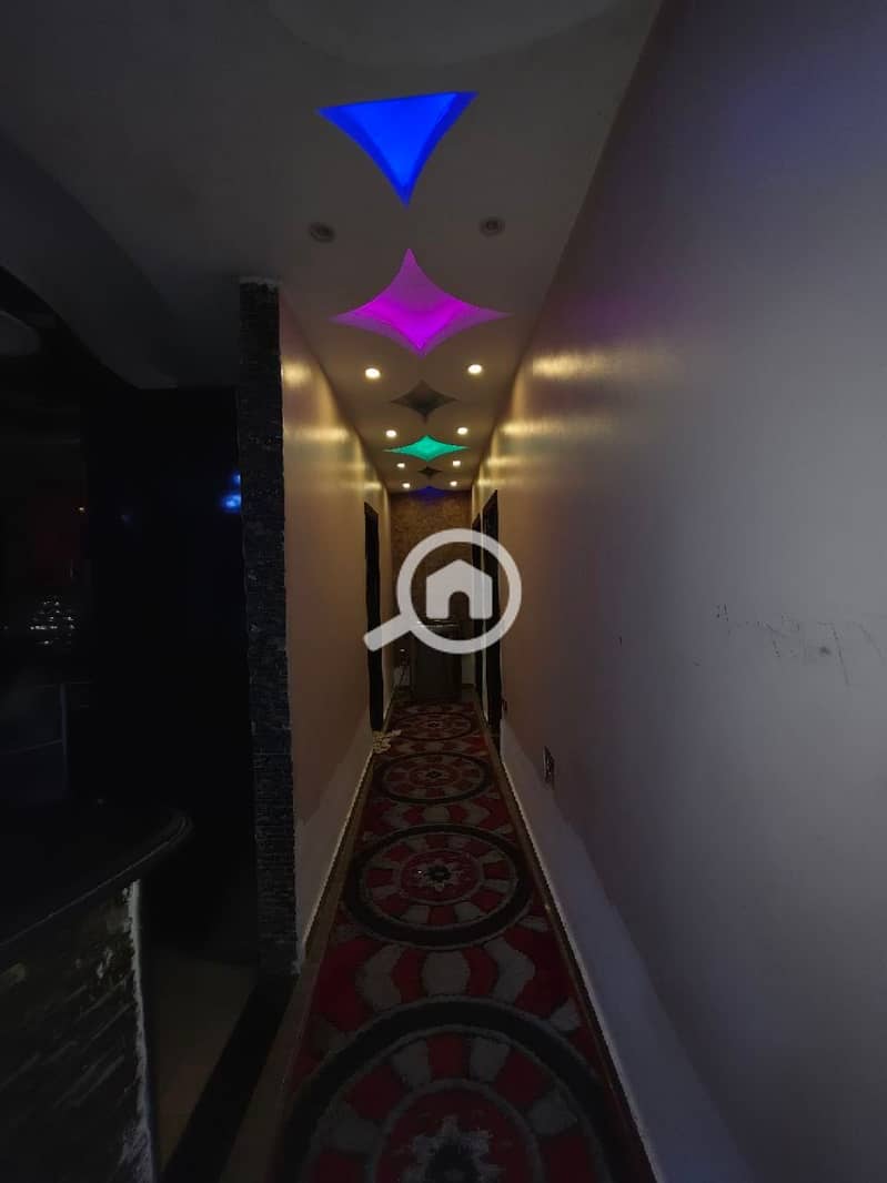 6 313044. jpg