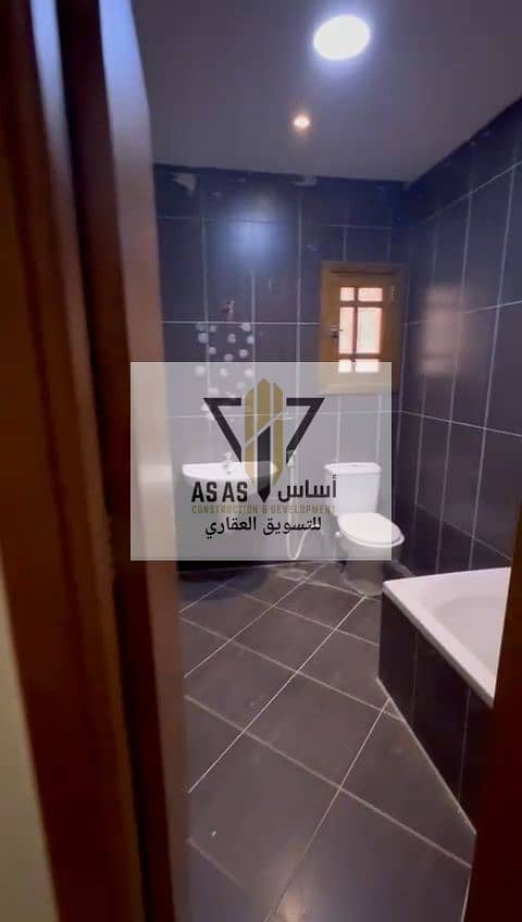 3 79608. jpg