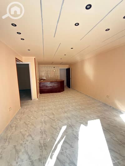 2 Bedroom Flat for Sale in Nakheel, Alexandria - 1000536888. jpg