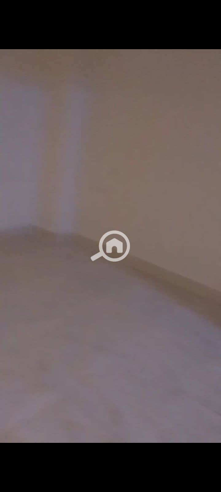 8 1000114613. jpg