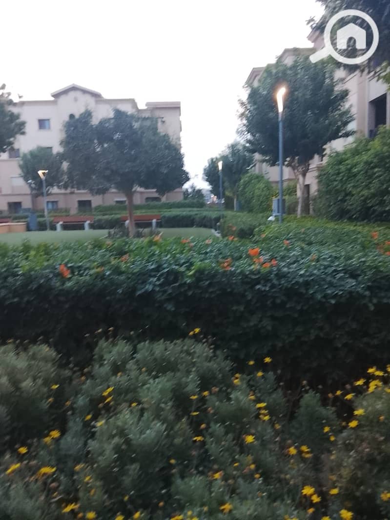 13 WhatsApp Image 2026-10-17 at 11.39. 20 AM. jpeg