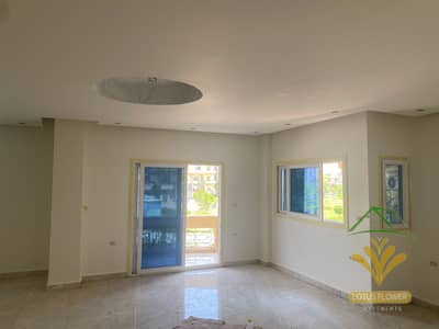 4 Bedroom Apartment for Rent in New Cairo, Cairo - 1001331566. jpg 4 Bedroom Apartment for Rent in New Cairo, Cairo - 1001331566. jpg