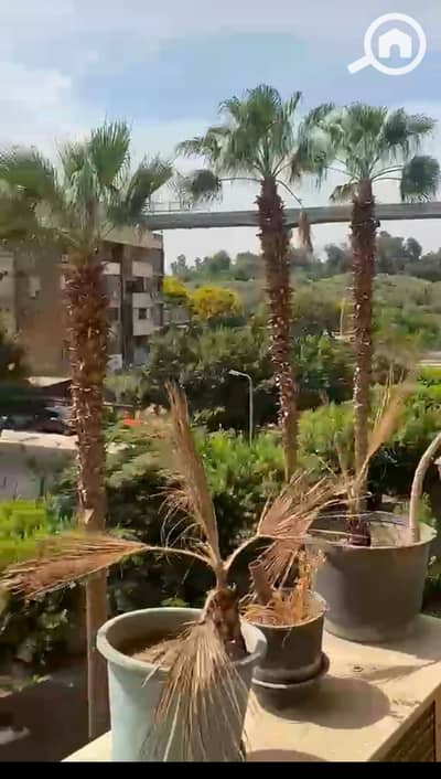 3 Bedroom Flat for Sale in Nasr City, Cairo - 1001296799. jpg 3 Bedroom Flat for Sale in Nasr City, Cairo - 1001296799. jpg