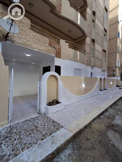 فلیٹ 2 غرفة نوم للبيع في النخيل، الإسكندرية - 1000537075. jpg
