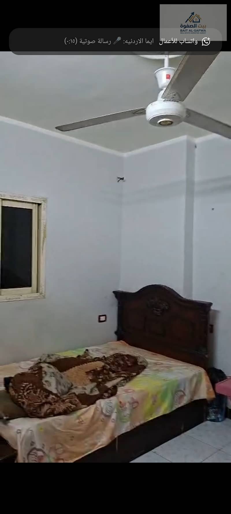 8 198294. jpg