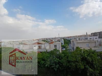 1 Bedroom Room for Rent in Sheikh Zayed, Giza - 1000478477. jpg