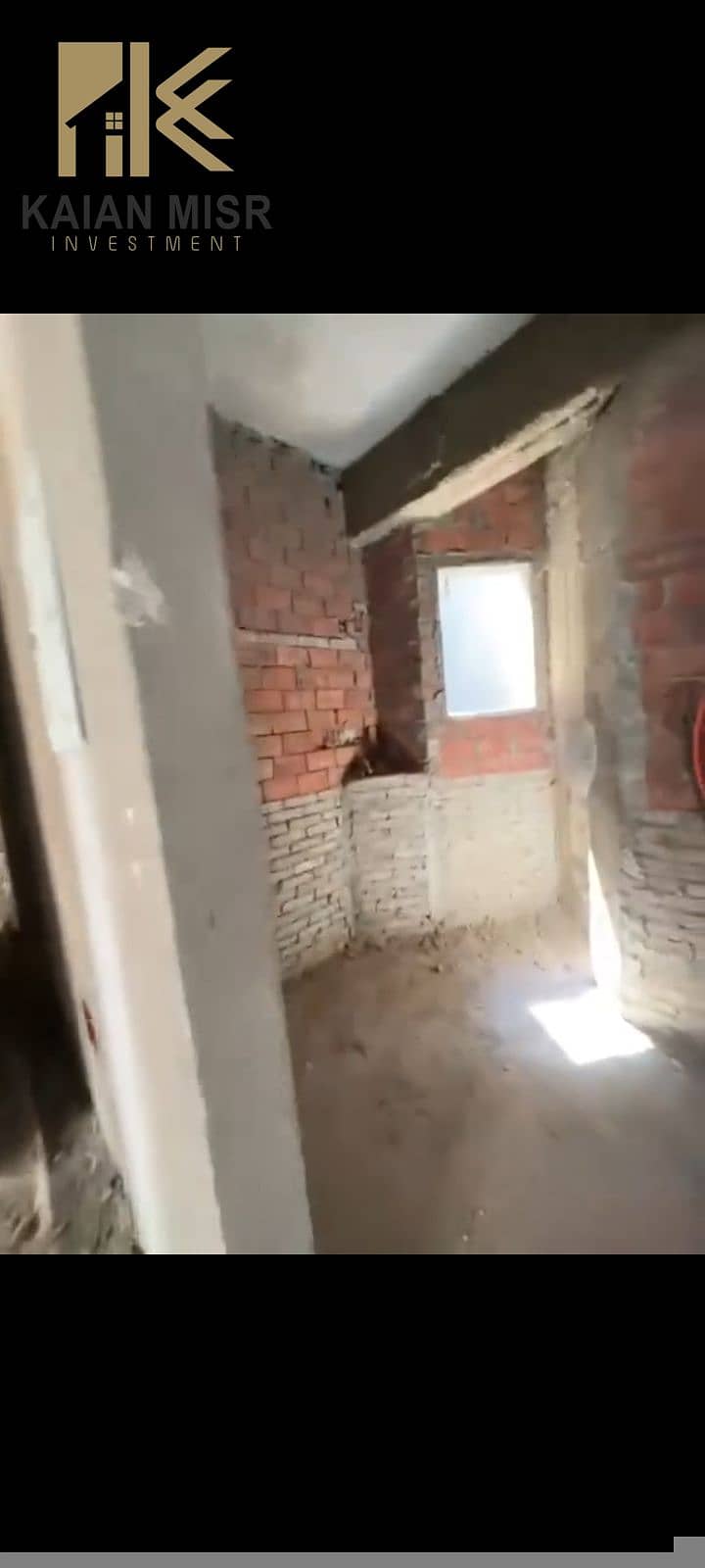 3 19493. jpg