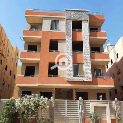 3 Bedroom Flat for Sale in Badr City, Cairo - IMG_3385. jpeg 3 Bedroom Flat for Sale in Badr City, Cairo - IMG_3385. jpeg