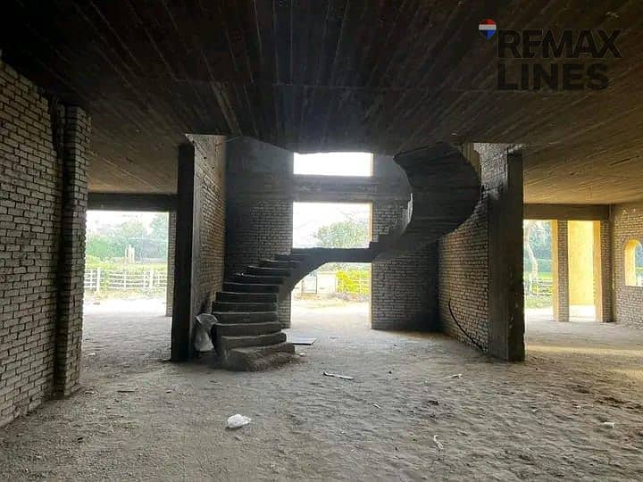 11 1000835372. jpg