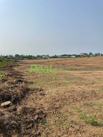 Commercial Land for Sale in New Cairo, Cairo - Le site de Songon ABADJIN DOUMIN non loin de l’institut pasteur! _Superficie _ 400 M2_Document _ TF_Nombres de terrains _ 03 _Caractéristiques _ très beau site décaper borner et poser en poteau électrique!_Sit (1). jpeg