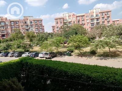 شقة 2 غرفة نوم للايجار في الشيخ زايد، الجيزة - IMG-20261012-WA0053. jpg شقة 2 غرفة نوم للايجار في الشيخ زايد، الجيزة - IMG-20261012-WA0053. jpg