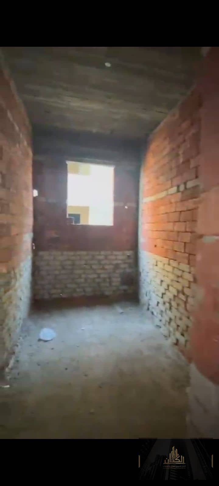 3 1001277786. png